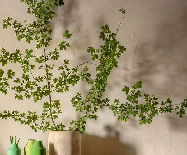 Отель Badia Di Pomaio, Tuscan Resort- Small Luxury Of The World Ареццо